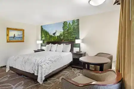 Best Western Plus Yosemite Gateway Inn - 111