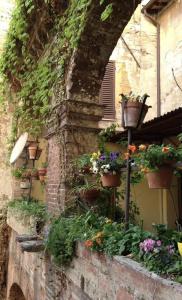 Umbria - 12