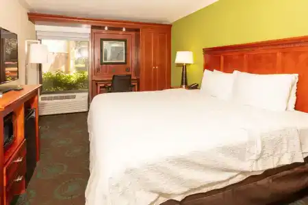Hampton Inn Daytona Beach-Speedway/Airport - 11