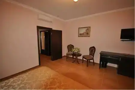 Вега - 10