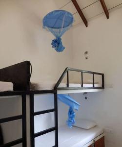 My Hostels - 24