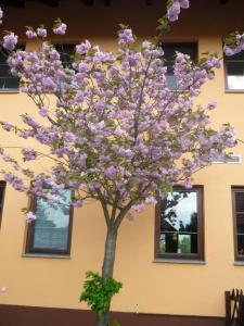 Willmersdorfer Hof - 7