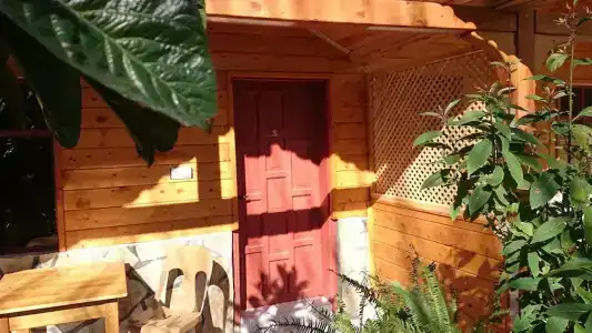 Ugur Pansiyon Bungalows - 25