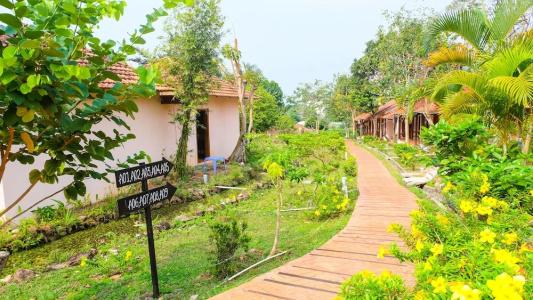 Daisy Resort - 75