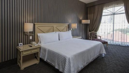 Holiday Inn Queretaro Centro Historico, An Ihg - 72