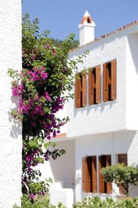 Skopelos Village - 1