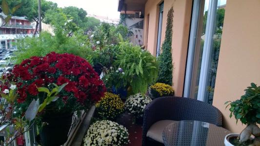 Gregorio Vii Luxury Suites - 9