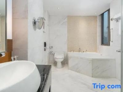 Holiday Inn Nanjing Aqua City, An Ihg - 159