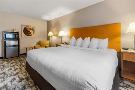 Best Western Ambassador Inn & Suites - 96