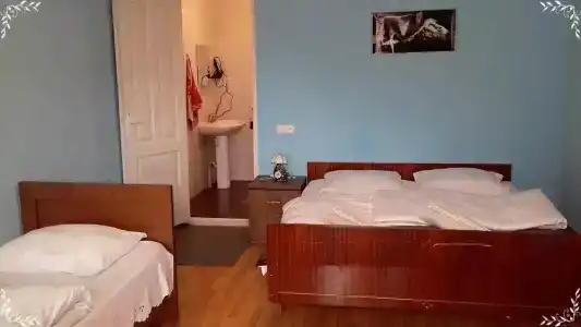 Нино Хетагури - 22
