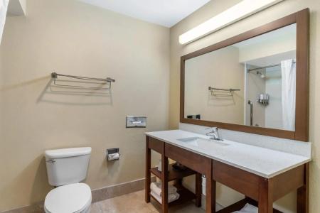 Comfort Suites Bush Intercontinental Airport - 7