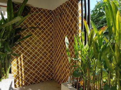 14 Place Sukhumvit Suites - 19