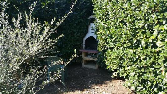 Agriturismo Torre Flavia - 50