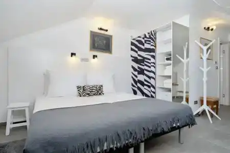 Apart Zebra - 3