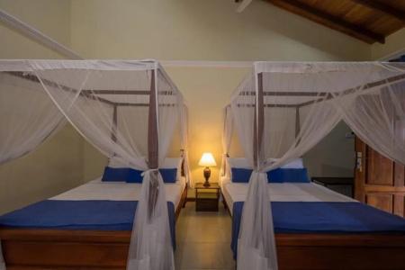 Albert Galle Fort - 6