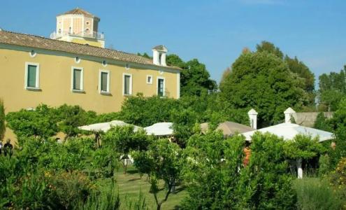 Farmstay La Morella - 78
