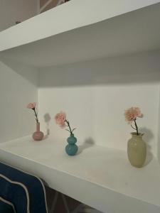 Pharus miseni B&B - 44
