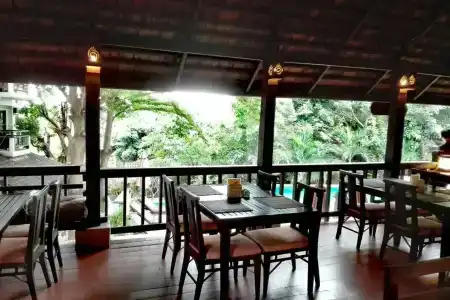 Rainforest ChiangMai - 14