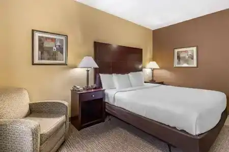 Comfort Inn & Suites - 30