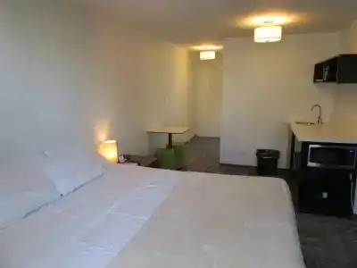 Waikiki Central - No Resort Fees - 12