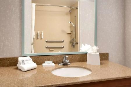 Hampton Inn - 43
