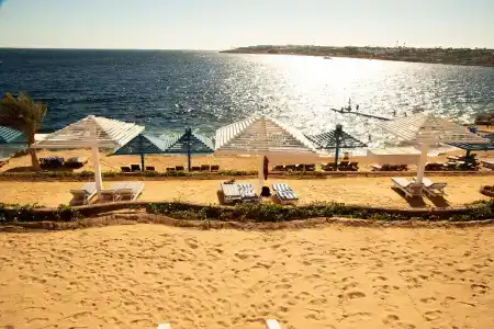 Grand Oasis Resort - 21
