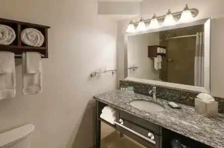 Homewood Suites Chicago Downtown - Magnificent Mile - 38