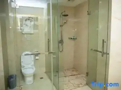 Best Western du Pont Wilson - 85