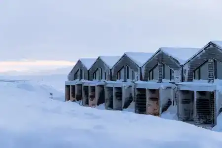 Star Arctic - 0