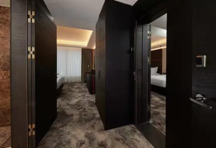 Hilton Belgrade - 70