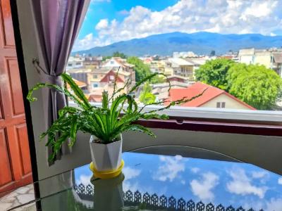 Bed and Terrace Guesthouse Chiang Mai - 77