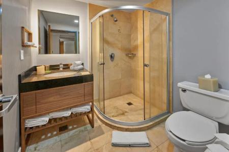 Wyndham Garden Mexico City - Polanco - 43