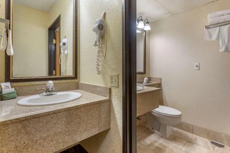 Comfort Inn at Thousand Hills - 59