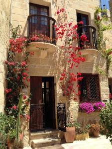 The Burrow - 42