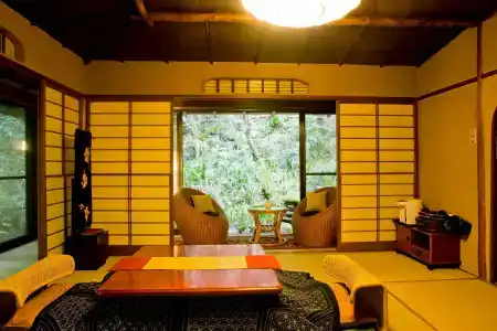 Yamagaso - 2