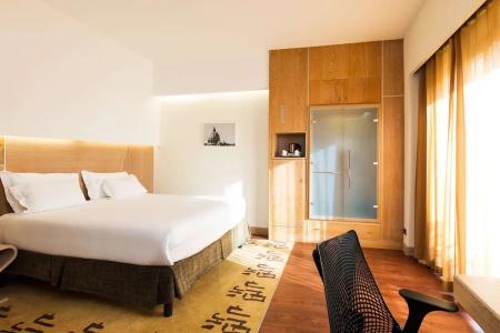 Hilton Garden Inn Rome Claridge - 58