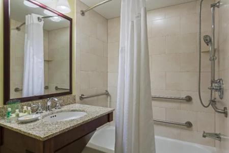 Holiday Inn Orlando – Disney Springs™ Area, An Ihg - 98