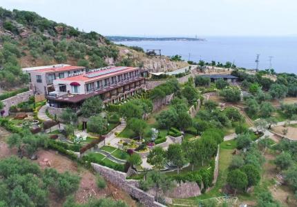 Assos Longevity - 8