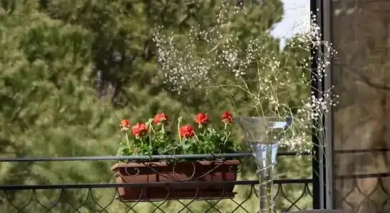 Giardino Inglese - 32