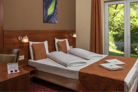 Patak Park - Adults Only - 25