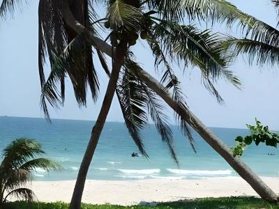 Chill Beach - 27