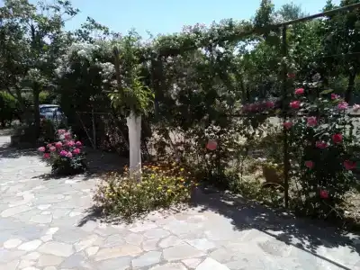 Akrogiali - 33