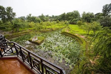 Buddha Maya Garden By Kgh Group - 33