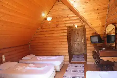 Woodline - 50