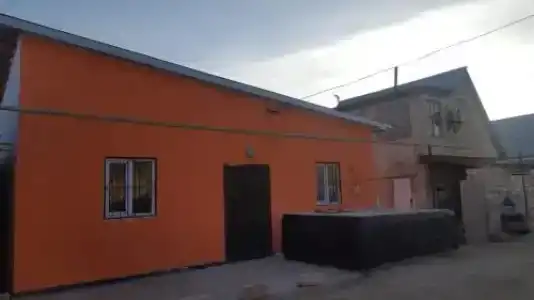 Коктем - 0