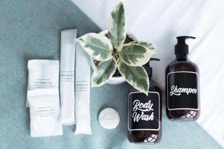 Nuve Elements (Sg Clean, Staycation Approved) - 36