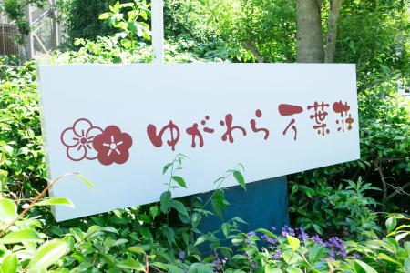 Yugawara Ryokan Manyoso - 24