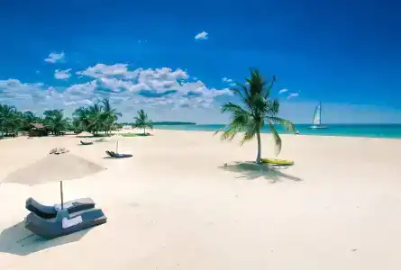 Uga Bay - 20