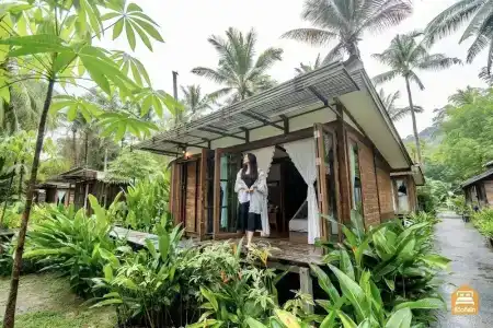 Jungle Koh - 31