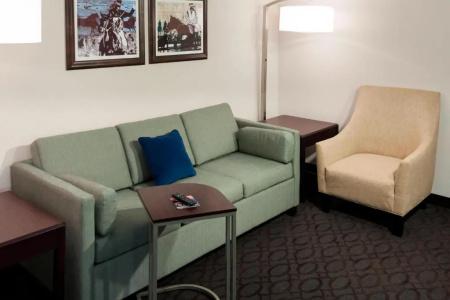 SpringHill Suites by Marriott Dallas Downtown / West End - 40